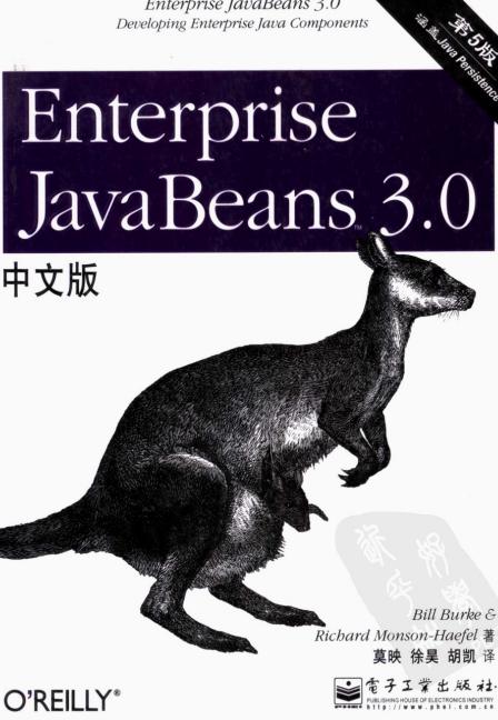 Enterprise Java beans 3.0İ