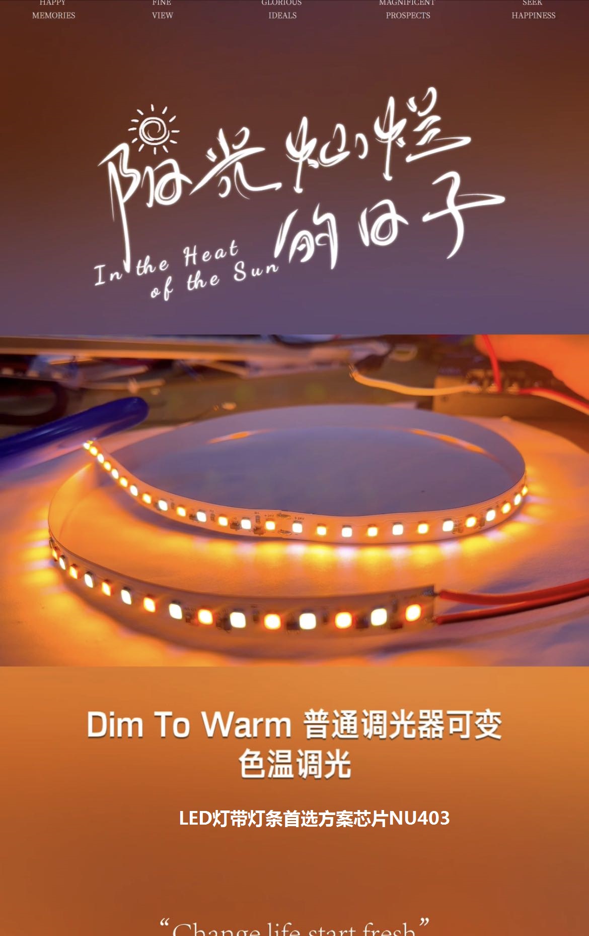 ͳɱDim To Warm{{ɫ􎧺IC /NU403