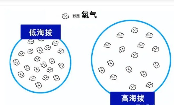 氧氣測量在高海撥地區(qū)汽車應用